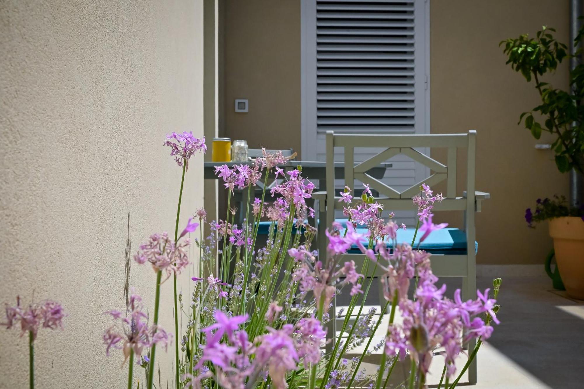 Apartman Festini Pag พาก ภายนอก รูปภาพ